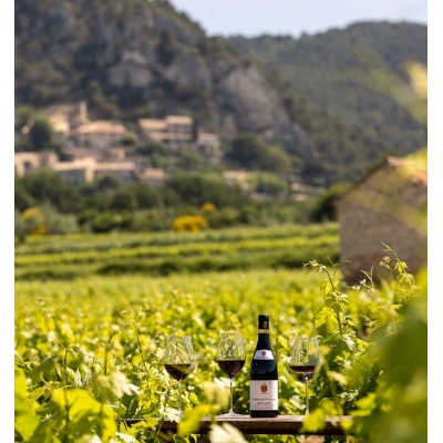 Pierre de Fontval - Côtes du Rhône Villages Séguret Rouge  8,90 €