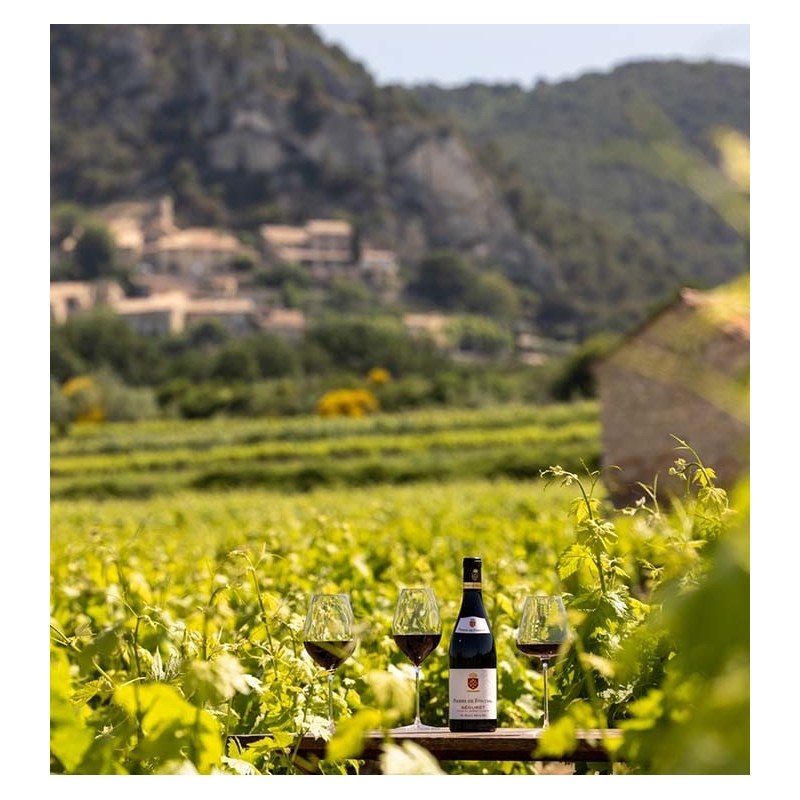 Pierre de Fontval - Côtes du Rhône Villages Séguret Rouge  8,90 €