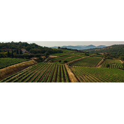 Autres vins du Rhône