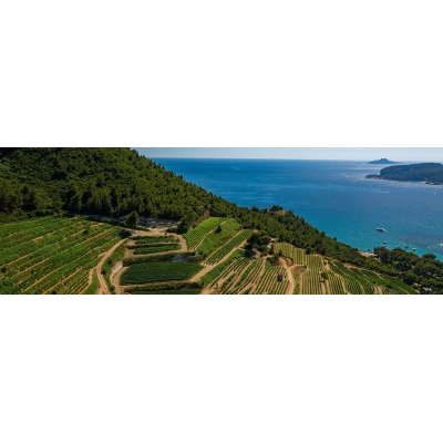 Autres cuvées de Provence